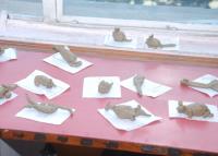 Clay Modelling Competition - Class III